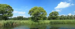 綠色產(chǎn)品認(rèn)證，人造板、衛(wèi)生陶瓷、家具、建材、快遞包裝等認(rèn)證